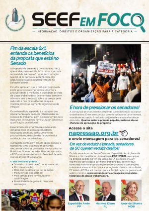 Chegou a 1ª edição do SEEF em Foco!