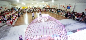 Bingo SEEF